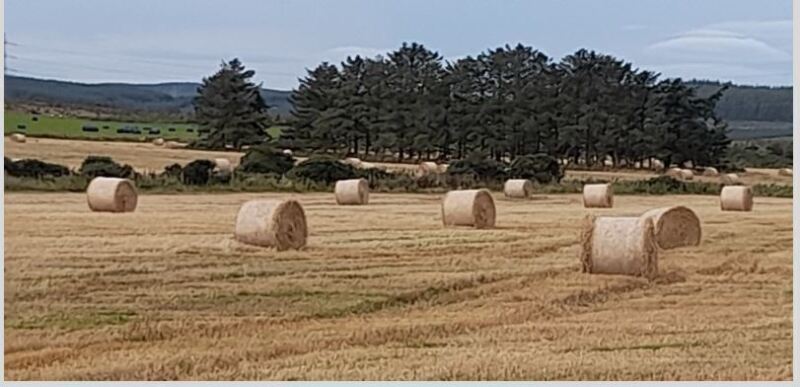 THAINSTONE – LIVE AND ONLINE SALE OF STRAW AND HAY – FRIDAY 26TH APRIL 2024