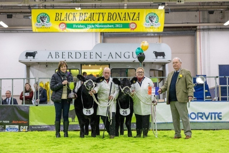 Black Beauty Bonanza -  EXCHANGE  - VIEWING FOR THE JUDGING ONLY - Friday 22nd November 2024