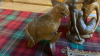 BOX WOODEN CARVED ITEMS - 4