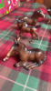 BOX 8 BESWICK HORSES & FOALS - 2