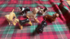 BOX 8 BESWICK DOGS
