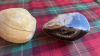 BOX CRYSTALLISED ROCKS
