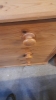 PINE CHEST DRAWERS - 2