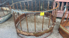 SHEEP RING FEEDER