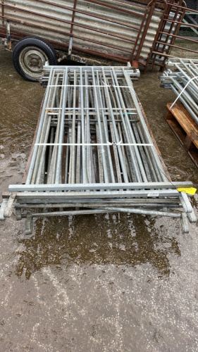 8 6' SHEEP HURDLES