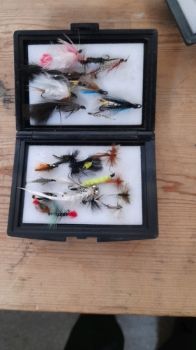BOX-3 CASES FISHING FLIES