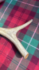 2 HORN HANDLED WALKING STICKS - 3
