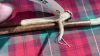 2 HORN HANDLED WALKING STICKS - 4