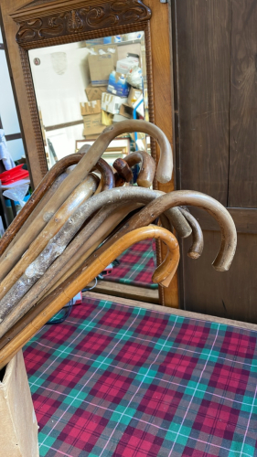 BOX WALKING STICKS