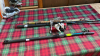 ASSORTED FISHING RODS REEL & TOD CASE - 5