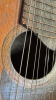 MANDOLIN - 4