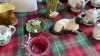 2 BOXES ORNAMENTS CHINA THIMBLES ETC - 6