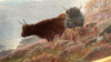 FRAMED OIL PAINTING CATTLE BY S PIKE - 5