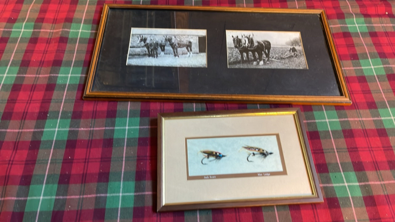 FISHING FLIES & HORSE PHOTOS