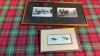 FISHING FLIES & HORSE PHOTOS