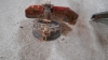 EFCO STRIMMER- SPARES OR REPAIRS - 2