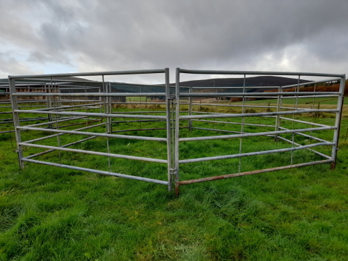 6 CATTLE HANDLING GATES - 6'