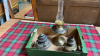 BOX OIL LAMP