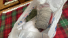 BOX SOFT TOYS & WOOL - 4