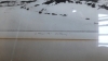BOX SIGNED ETCHINGS+WC PAINTING - 27