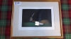 2 LTD EDT MEZZOTINTS TOMEO YOKOI - 7