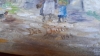 6 OIL PAINTINGS RICHARD BAILLIE EAST LOTHIAN - 3