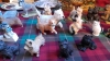 BOX DOG ORNAMENTS ETC - 5