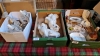 3 BOXES WALLY DOGS LIGHT FITTING & MISC
