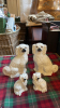 2 PAIR WALLY DOGS