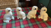 2 PAIR WALLY DOGS