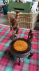 BOX 2 WOODEN CARVINGS & STAND
