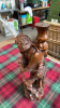BOX 2 WOODEN CARVINGS & STAND - 2