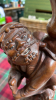 BOX 2 WOODEN CARVINGS & STAND - 3