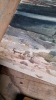 BOX PICTURES - 16