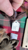 BOX LAMP SHADE, PICTURES ETC - 10