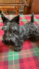 2 DOG ORNAMENTS & GARDEN ORNAMENTS - 3