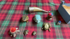 BOX FROGS, HORN ETC