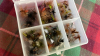 BOX FLY FISHING FLIES - 5