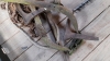 PULLEYS & MISC - 2