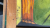 4 LARGE PICTURES - 7