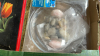 2 BOXES LIGHT BULBS TV MOUNT ETC - 2