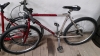 CARRERA BICYCLE