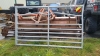 6ft Gate