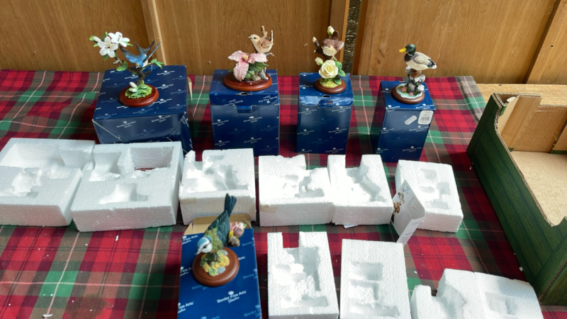 BOX 5 SMALL B F A BIRDS