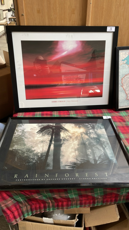 2 PICTURES- RAIN FOREST & NEW HORIZONS