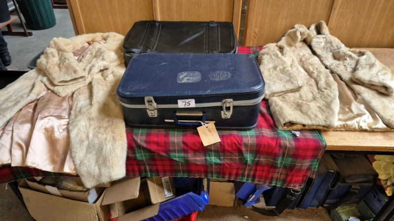 2 CASES FURS