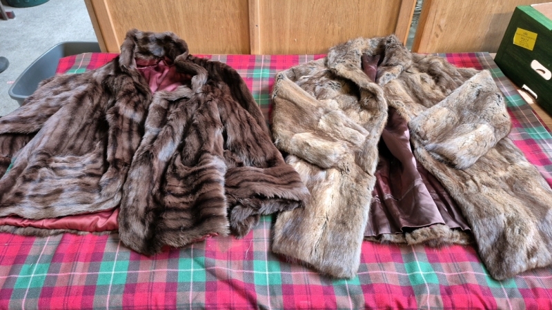BOX FURS