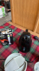 BOX ELECTRICAL KITCHEN ITEMS - 4