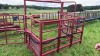 COW CATCHER - 2