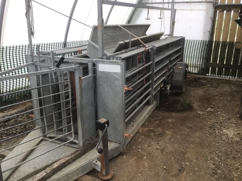 Sheep handling system
